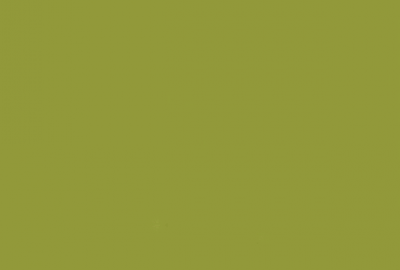 मिडियामा प्राज्ञिक बहस