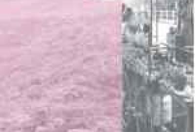 Changing Livelihoods: Essays on Nepal’s Development since 1990